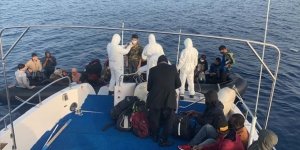 Turkey rescues 36 migrants in Aegean Sea