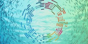 14 Ocean Panel nations to work for transforming ocean economy